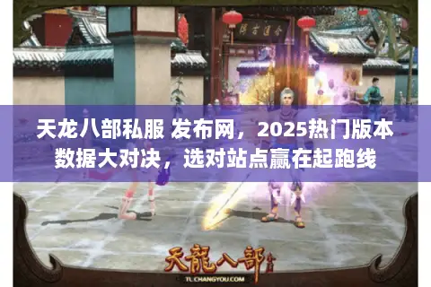 天龙八部私服 发布网，2025热门版本数据大对决，选对站点赢在起跑线