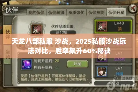天龙八部私服 沙战,2025私服沙战玩法对比,胜率飙升60%秘诀 天龙八部私服 沙战,2025私服沙战玩法对比,胜率飙升60%秘诀