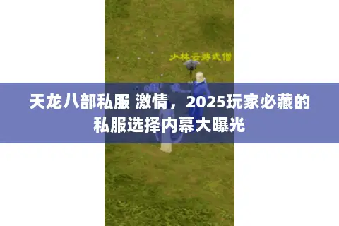 天龙八部私服 激情，2025玩家必藏的私服选择内幕大曝光