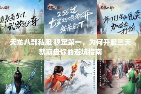 天龙八部私服 稳定第一，为何开服三天就崩盘你的避坑指南