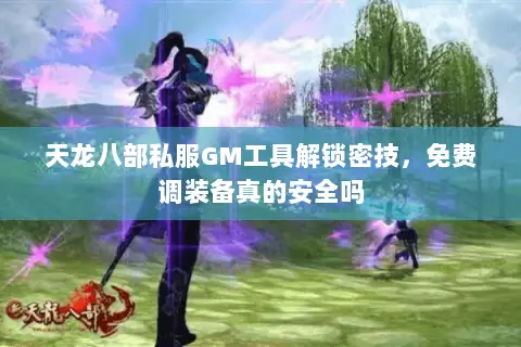 天龙八部私服GM工具解锁密技，免费调装备真的安全吗