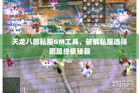天龙八部私服GM工具，破解私服选择困局终极秘籍