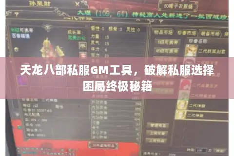 天龙八部私服GM工具，破解私服选择困局终极秘籍