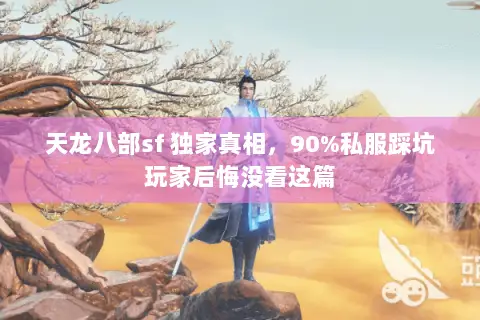 天龙八部sf 独家真相,90%私服踩坑玩家后悔没看这篇 天龙八部sf 独家真相,90%私服踩坑玩家后悔没看这篇