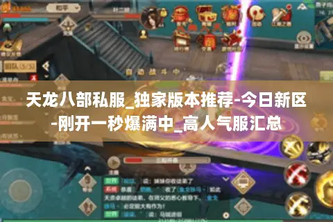 天龙八部私服_独家版本推荐-今日新区-刚开一秒爆满中_高人气服汇总