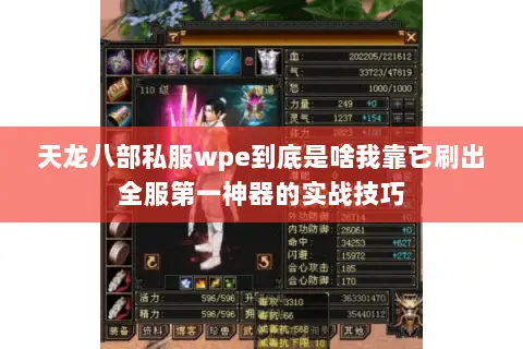 天龙八部私服wpe到底是啥我靠它刷出全服第一神器的实战技巧 天龙八部私服wpe到底是啥我靠它刷出全服第一神器的实战技巧