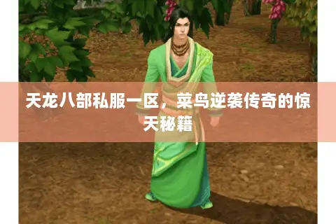 天龙八部私服一区,菜鸟逆袭传奇的惊天秘籍 天龙八部私服一区,菜鸟逆袭传奇的惊天秘籍