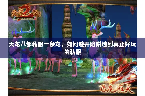 天龙八部私服一条龙,如何避开陷阱选到真正好玩的私服 天龙八部私服一条龙,如何避开陷阱选到真正好玩的私服