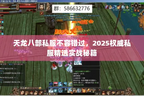 天龙八部私服不容错过,2025权威私服精选实战秘籍 天龙八部私服不容错过,2025权威私服精选实战秘籍