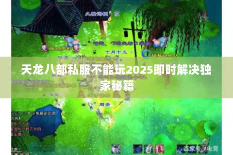 天龙八部私服不能玩2025即时解决独家秘籍 天龙八部私服不能玩2025即时解决独家秘籍