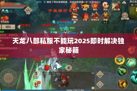 天龙八部私服不能玩2025即时解决独家秘籍 天龙八部私服不能玩2025即时解决独家秘籍