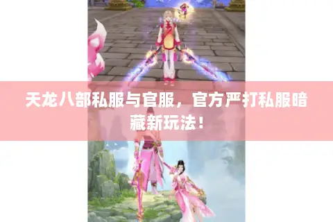 天龙八部私服与官服，官方严打私服暗藏新玩法！