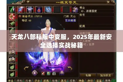 天龙八部私服中变服，2025年最新安全选择实战秘籍