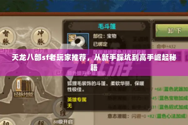 天龙八部sf老玩家推荐,从新手踩坑到高手崛起秘籍 天龙八部sf老玩家推荐,从新手踩坑到高手崛起秘籍