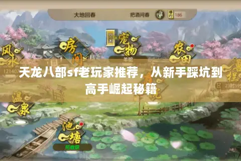 天龙八部sf老玩家推荐,从新手踩坑到高手崛起秘籍 天龙八部sf老玩家推荐,从新手踩坑到高手崛起秘籍