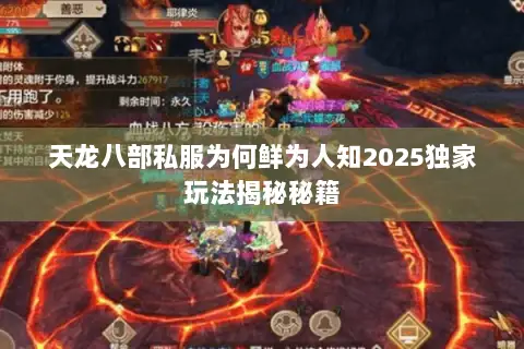 天龙八部私服为何鲜为人知2025独家玩法揭秘秘籍