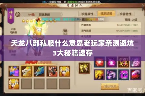 天龙八部私服什么意思老玩家亲测避坑3大秘籍速存 天龙八部私服什么意思老玩家亲测避坑3大秘籍速存