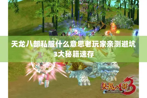 天龙八部私服什么意思老玩家亲测避坑3大秘籍速存 天龙八部私服什么意思老玩家亲测避坑3大秘籍速存