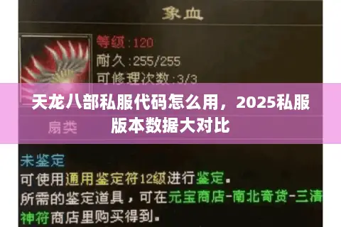 天龙八部私服代码怎么用，2025私服版本数据大对比