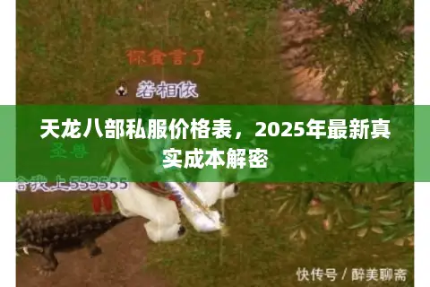 天龙八部私服价格表,2025年最新真实成本解密 天龙八部私服价格表,2025年最新真实成本解密