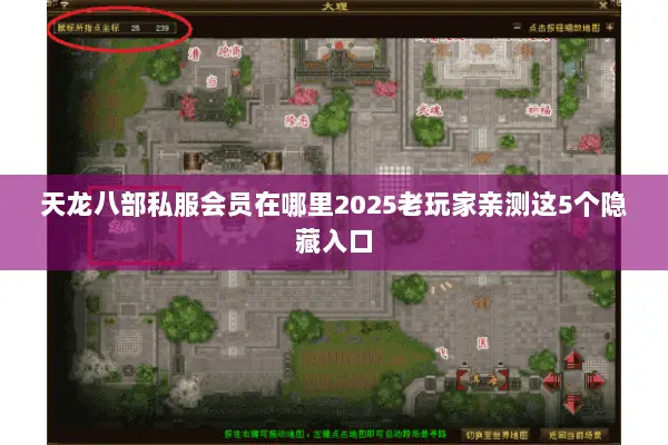天龙八部私服会员在哪里2025老玩家亲测这5个隐藏入口