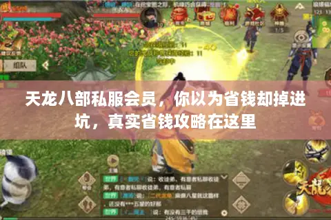 天龙八部私服会员,你以为省钱却掉进坑,真实省钱攻略在这里 天龙八部私服会员,你以为省钱却掉进坑,真实省钱攻略在这里