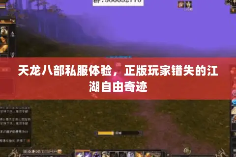 天龙八部私服体验,正版玩家错失的江湖自由奇迹 天龙八部私服体验,正版玩家错失的江湖自由奇迹