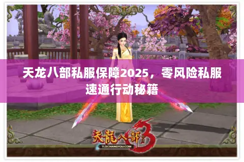 天龙八部私服保障2025,零风险私服速通行动秘籍 天龙八部私服保障2025,零风险私服速通行动秘籍