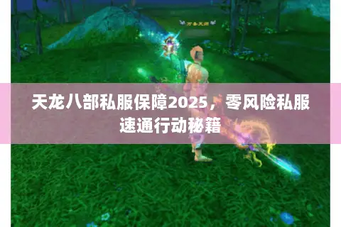 天龙八部私服保障2025,零风险私服速通行动秘籍 天龙八部私服保障2025,零风险私服速通行动秘籍