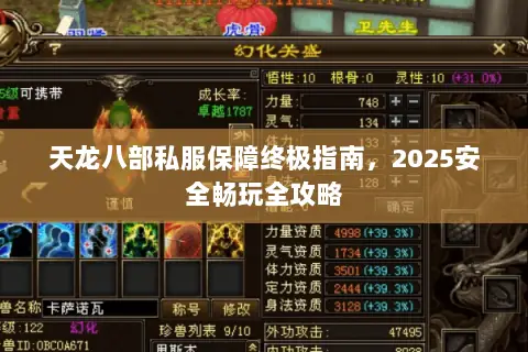 天龙八部私服保障终极指南，2025安全畅玩全攻略