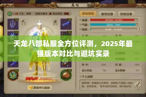 天龙八部私服全方位评测,2025年最强版本对比与避坑实录 天龙八部私服全方位评测,2025年最强版本对比与避坑实录