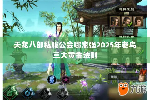 天龙八部私服公会哪家强2025年老鸟三大黄金法则 天龙八部私服公会哪家强2025年老鸟三大黄金法则