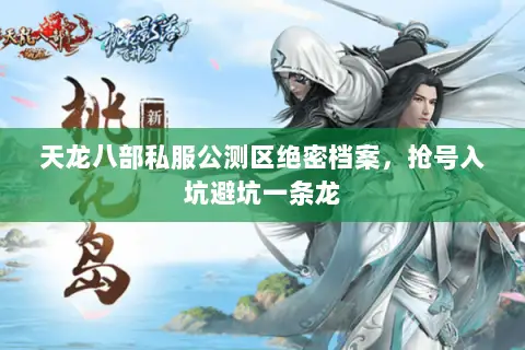 天龙八部私服公测区绝密档案，抢号入坑避坑一条龙
