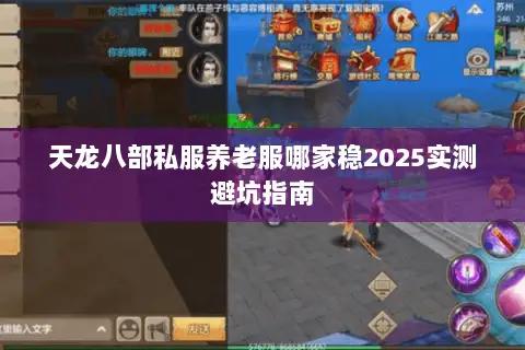 天龙八部私服养老服哪家稳2025实测避坑指南 天龙八部私服养老服哪家稳2025实测避坑指南