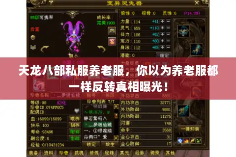 天龙八部私服养老服，你以为养老服都一样反转真相曝光！