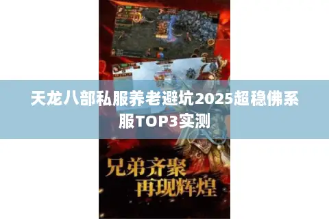 天龙八部私服养老避坑2025超稳佛系服TOP3实测 天龙八部私服养老避坑2025超稳佛系服TOP3实测