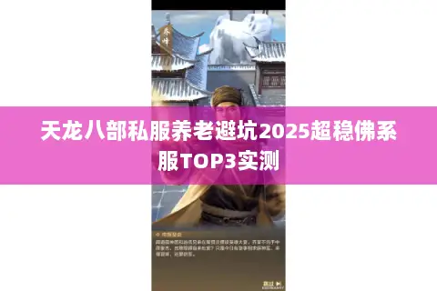 天龙八部私服养老避坑2025超稳佛系服TOP3实测 天龙八部私服养老避坑2025超稳佛系服TOP3实测