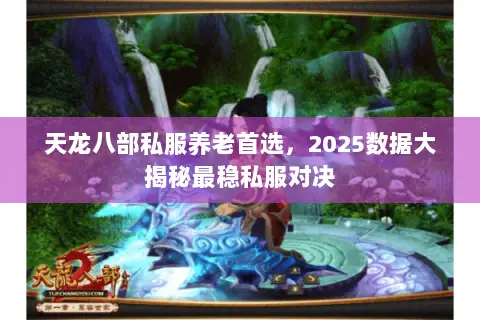 天龙八部私服养老首选,2025数据大揭秘最稳私服对决 天龙八部私服养老首选,2025数据大揭秘最稳私服对决