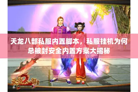 天龙八部私服内置脚本，私服挂机为何总被封安全内置方案大揭秘