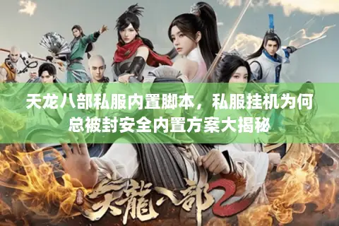 天龙八部私服内置脚本，私服挂机为何总被封安全内置方案大揭秘