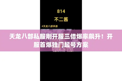 天龙八部私服刚开服三倍爆率飙升!开服首爆独门起号方案 天龙八部私服刚开服三倍爆率飙升!开服首爆独门起号方案