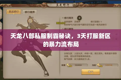 天龙八部私服制霸秘诀，3天打服新区的暴力流布局