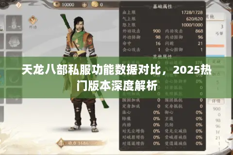 天龙八部私服功能数据对比,2025热门版本深度解析 天龙八部私服功能数据对比,2025热门版本深度解析