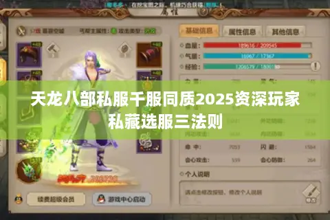 天龙八部私服千服同质2025资深玩家私藏选服三法则