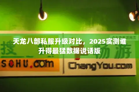 天龙八部私服升级对比，2025实测谁升得最猛数据说话版