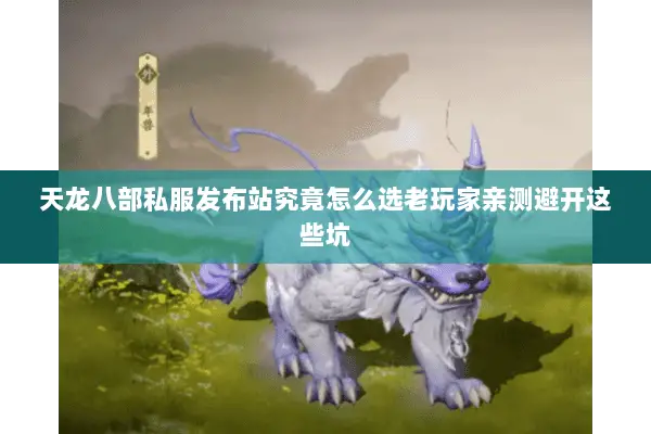 天龙八部私服发布站究竟怎么选老玩家亲测避开这些坑 天龙八部私服发布站究竟怎么选老玩家亲测避开这些坑