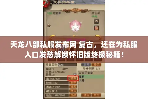 天龙八部私服发布网 复古，还在为私服入口发愁解锁怀旧版终极秘籍！