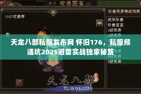 天龙八部私服发布网 怀旧176,私服频遇坑2025避雷实战独家秘笈 天龙八部私服发布网 怀旧176,私服频遇坑2025避雷实战独家秘笈