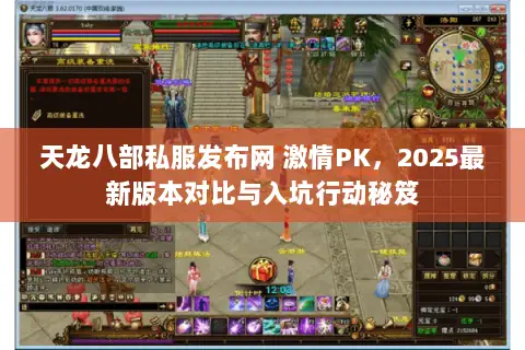 天龙八部私服发布网 激情PK，2025最新版本对比与入坑行动秘笈