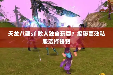 天龙八部sf 散人独自玩耍？揭秘高效私服选择秘籍